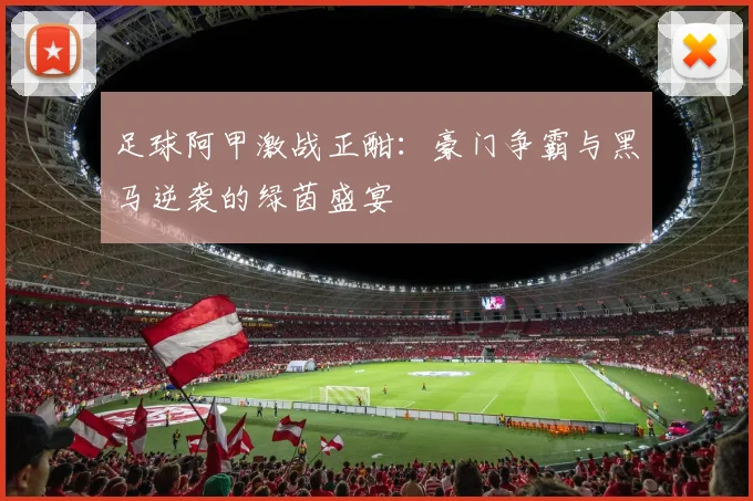 足球阿甲激战正酣：豪门争霸与黑马逆袭的绿茵盛宴