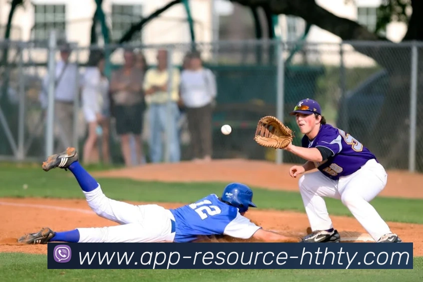 华体会平台生态图